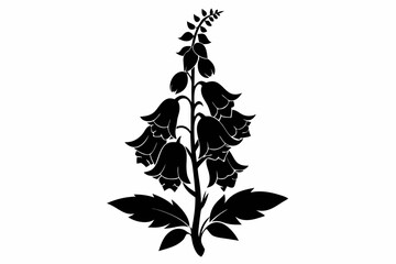 foxglove silhouette line art vector illustration © kanchanrani
