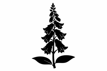 foxglove silhouette line art vector illustration © kanchanrani