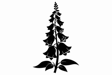 foxglove silhouette line art vector illustration © kanchanrani