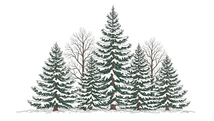 Obraz premium Snow Covered Evergreen Trees Winter Landscape.