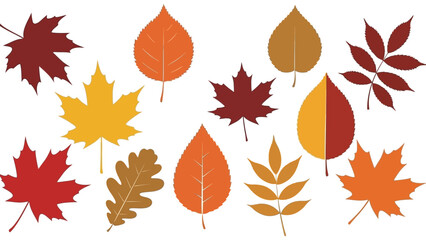 Colorful Autumn Leaves Collection.