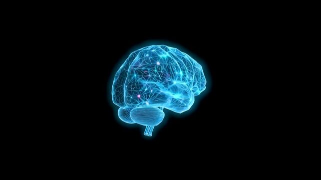 Floating blue holographic human brain rendered in wireframe style against a solid black background