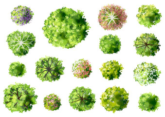 Vector set of Top view green tree for outdoor plan or map and architecture drawing, elements for environment and garden ,botanical elements ,blooming flowers in spring,tropical plants element © Chanya_B