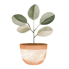 Watercolor illustration of a minimalist houseplant in a terracotta pot.