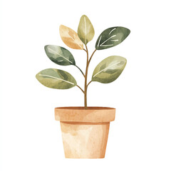 Watercolor illustration of a potted plant with green and yellow leaves.