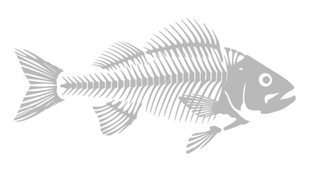 Intricate white fish skeleton illustration, showcasing detailed bone structure and aquatic anatomy, perfect for biology, oceanography, or marine life design projects and educational content