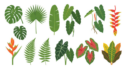 Collection of various tropical plant leaves and flowers, vibrant and lush foliage