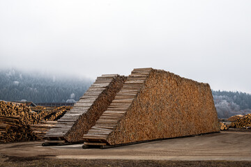 Hundreds and thousands of tree trunks neatly and intricately stacked in a sawmill