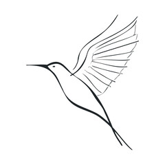 Fototapeta premium Elegant hummingbird design for creative projects and nature themes