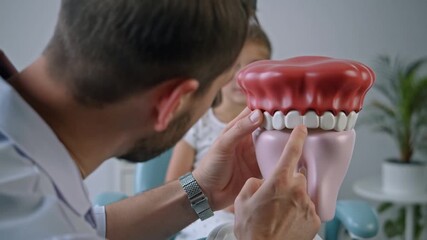 A dentist explaining oral hygiene to a young child with a model of teeth Stock Video