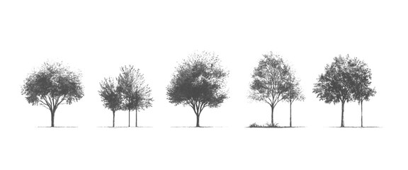 Vector Minimal Botanical Tree Silhouettes Set on White Background