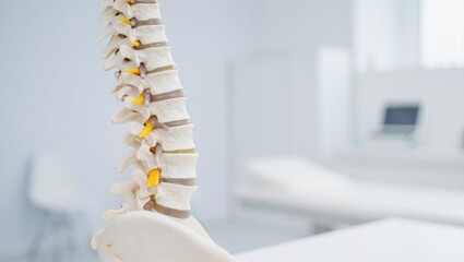 spine model in clinic on desk for patient education, orthopedic anatomy display in exam room