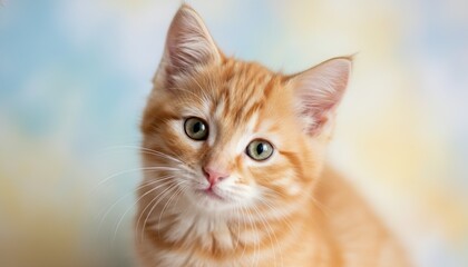 Charming Ginger Kitten with Green Eyes on Soft Colorful Background