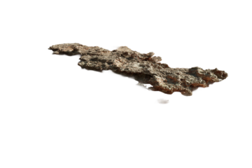 Shallow marine reef and sandbar scenery isolated on transparent background