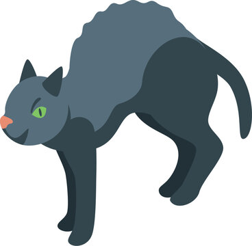 Isometric black cat arching its back, bristling, and showing its teeth