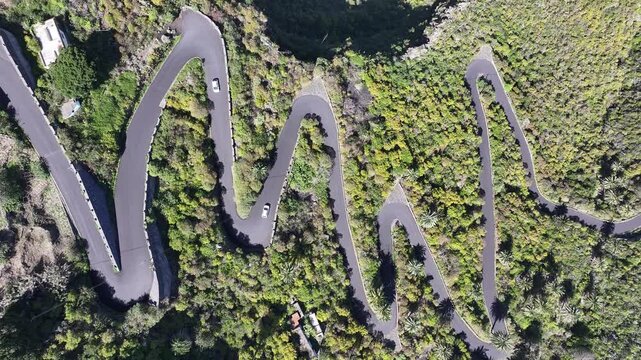 Aerial view of a sinuous road snaking through dense green vegetation with sparse buildings and cars, offering a dynamic contrast, Tenerife, Canary Islands, Spain.