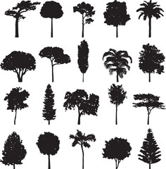 A detailed vector illustration showcasing a solitary tree possibly a silhouette created with adobe illustrator © PK 