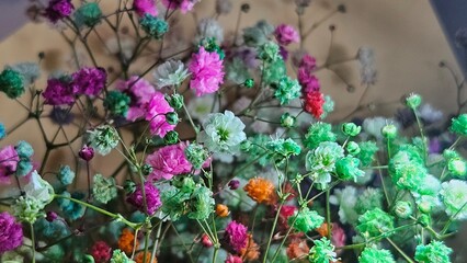 Naklejka premium Colorful Dried Gypsophila Flowers Background