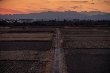 冬の夕暮れ、秩父連山と一本道のある田園風景