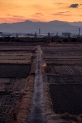 冬の夕暮れ、秩父連山と一本道のある田園風景