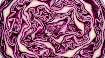 Intricate Natural Pattern of a Red Cabbage Cross Section, Close-up of Purple and White Veins in a Vegetable