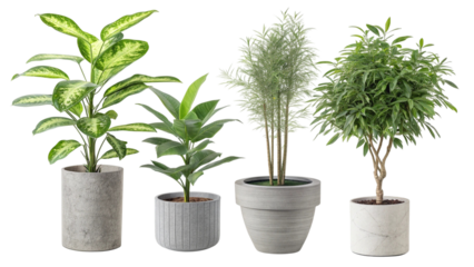 Four Green Plants in White Pots on a Green Background with Leaves