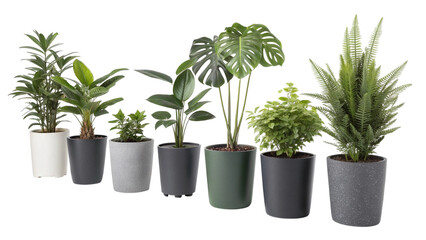 Obraz premium Seven Different Potted Plants in Various Containers on a Gray Surface green plants white pot