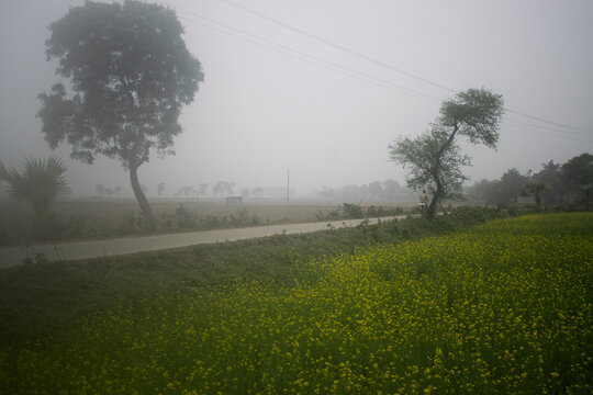 winter in rural Bangladesh 2025 village life - Powered by Adobe