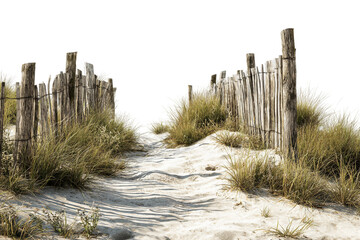 Beachside sandy trail with rustic wooden fence isolated on transparent background