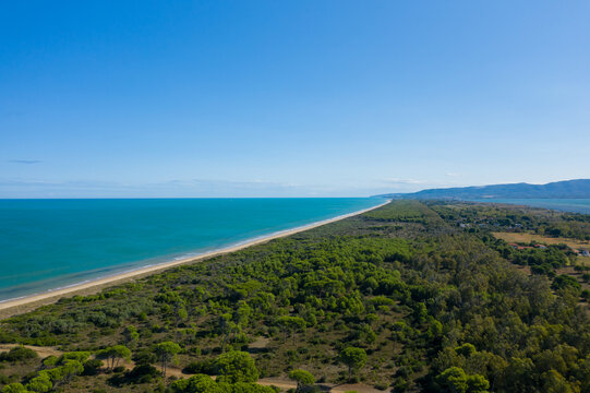 Wide aerial view of Isola Varano in Puglia, Italy, featuring a long stretch of untouched sandy beach bordered by lush green forest and turquoise sea beneath a clear blue sky.