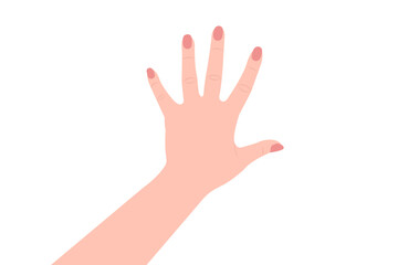 woman hand isolated on white, vector