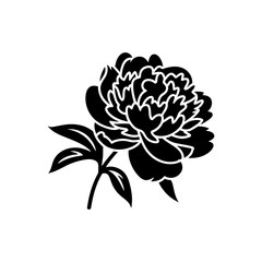 Peony icon on White Background Vector Art Illustration on white background.	