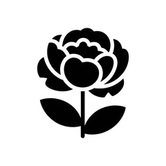 Peony icon on White Background Vector Art Illustration on white background.	