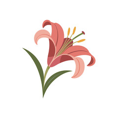 Lily icon on White Background Vector Art Illustration on white background.