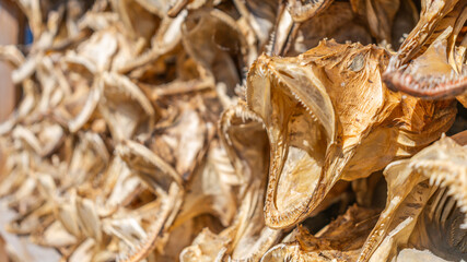 Hamn&oslash;y - der zauberhafte Fjord auf den Lofoten
