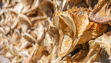 Hamn&oslash;y - der zauberhafte Fjord auf den Lofoten