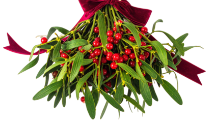 Close-up of mistletoe with red berries, tied with a rich, dark red bow
