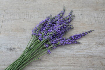 Fresh fragrant lavender flowers on light wood