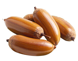 Close-up view of five brown acorns, some touching, on a transparent background