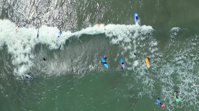 Top-down aerial drone view of beginner surfers paddling, waiting, and catching small waves during surf lessons near the shore. Popular beach activity and tropical surf lifestyle in Bali, Indonesia.