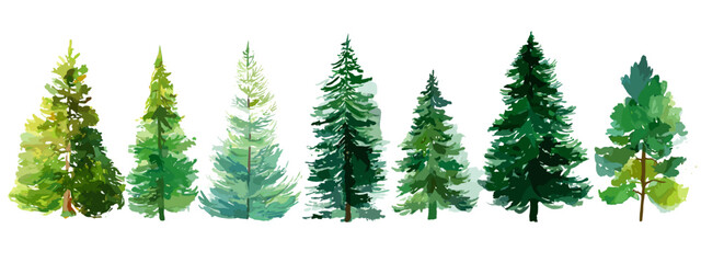 christmas trees isolated on white