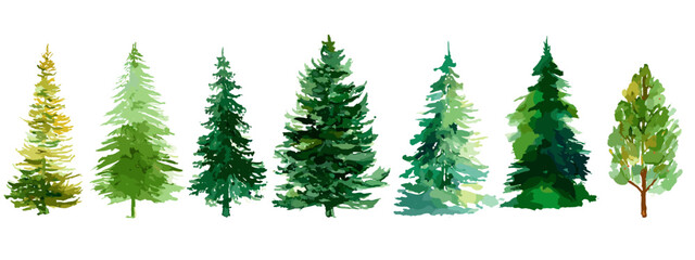 christmas trees isolated on white