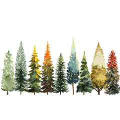 christmas trees isolated on white