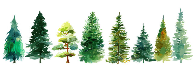 christmas trees isolated on white