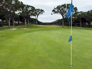 Obraz premium Golf hole with its flag.