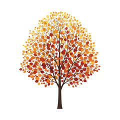Vibrant Autumn Tree Illustration with Orange, Red, and Yellow Leaves - Isolated on White