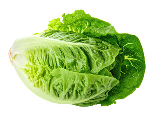 Close-up of a vibrant, fresh head of romaine lettuce, isolated against a black background