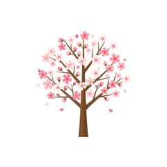 Fototapeta premium Blooming Cherry Blossom Tree with Pink Flowers and Falling Petals, Spring Nature