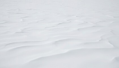 Wide expanse of pristine white snow showing soft natural ripples and wind patterns across the cold frozen landscape
