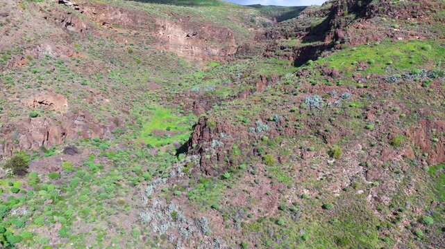 The Slot Canyon of Ag&uuml;imes: 4K Aerial of Barranco de las Vacas Featuring Sculpted Sandstone Curves and Lush Volcanic Highlands, Gran Canaria, Spain